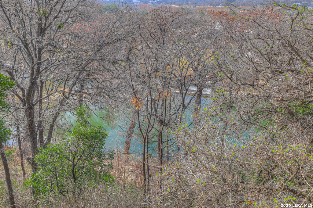1247 Gruene New Braunfels TX 78130