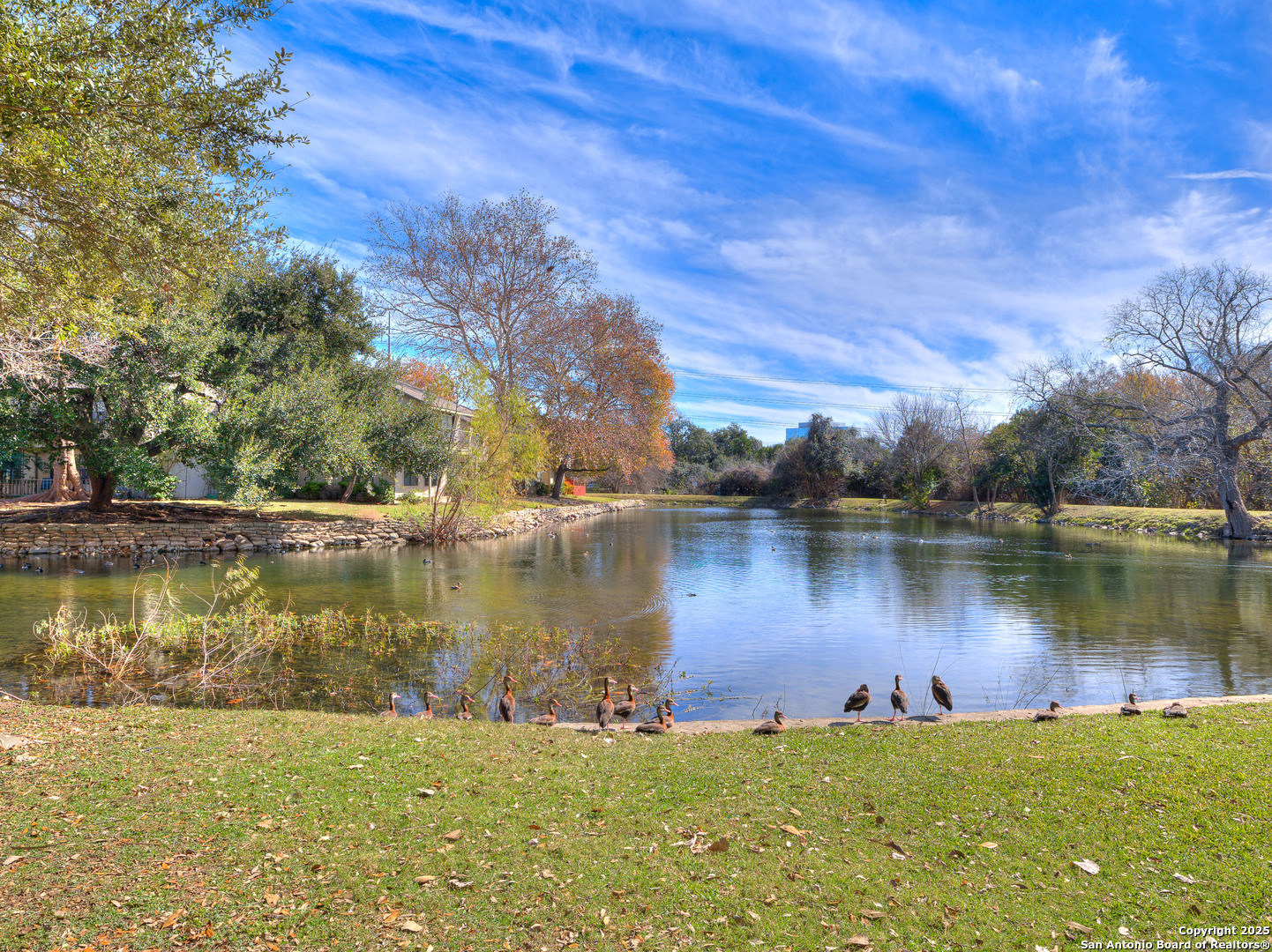 7711 Callaghan Road San Antonio TX 78229