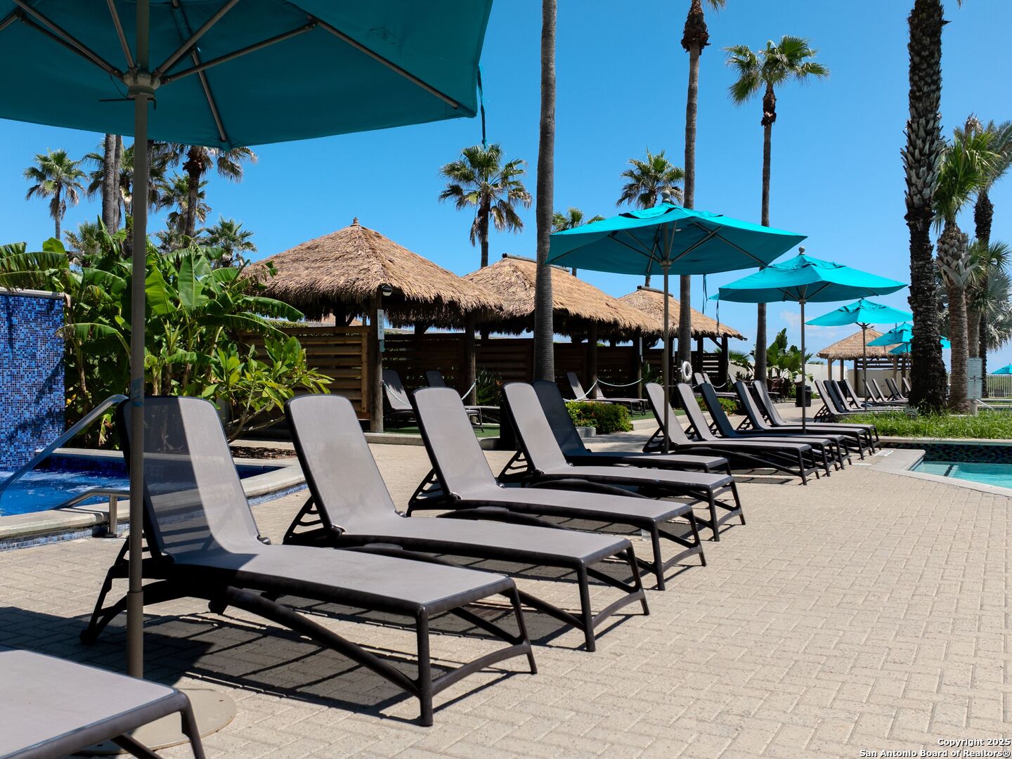 310A Padre Boulevard South Padre Island TX 78597