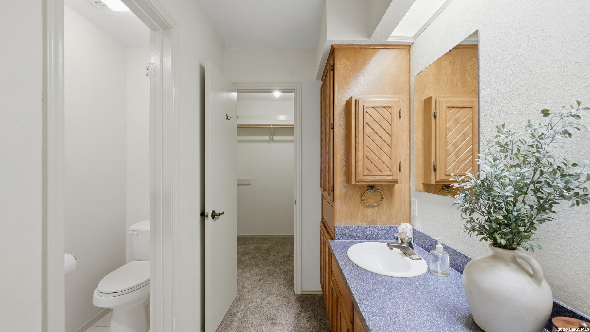 17306 Piney Woods San Antonio TX 78248