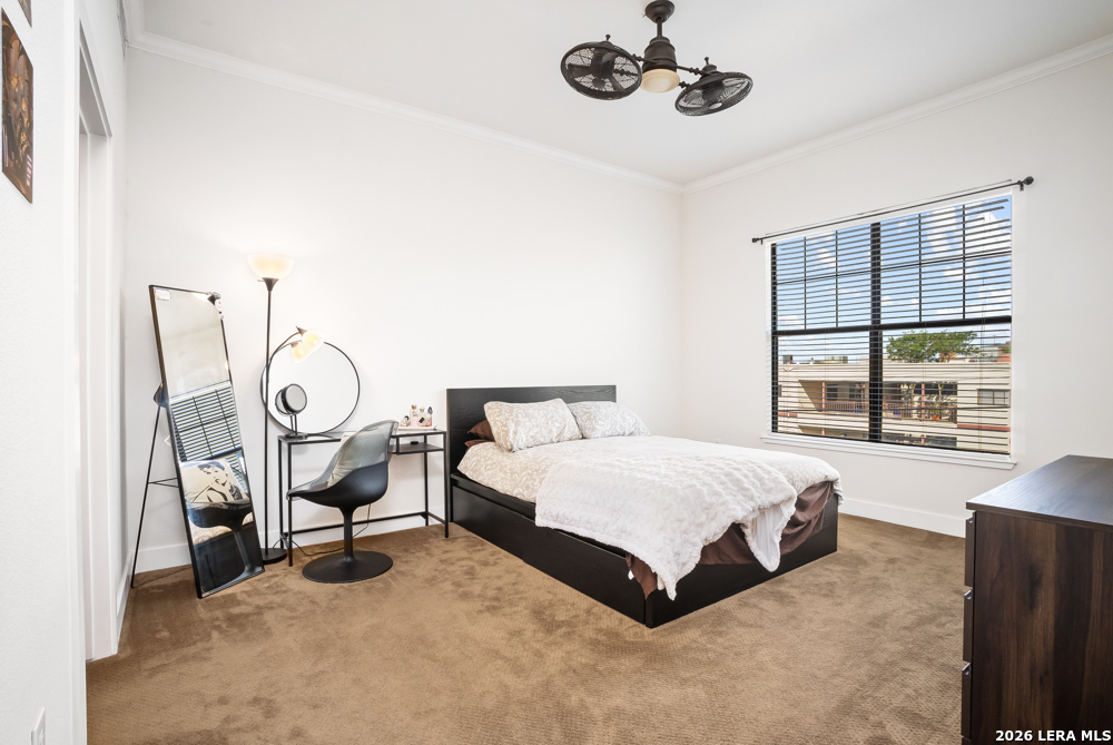 7342 Oak Manor Drive San Antonio TX 78229