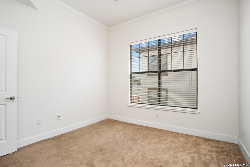 7342 Oak Manor Drive San Antonio TX 78229