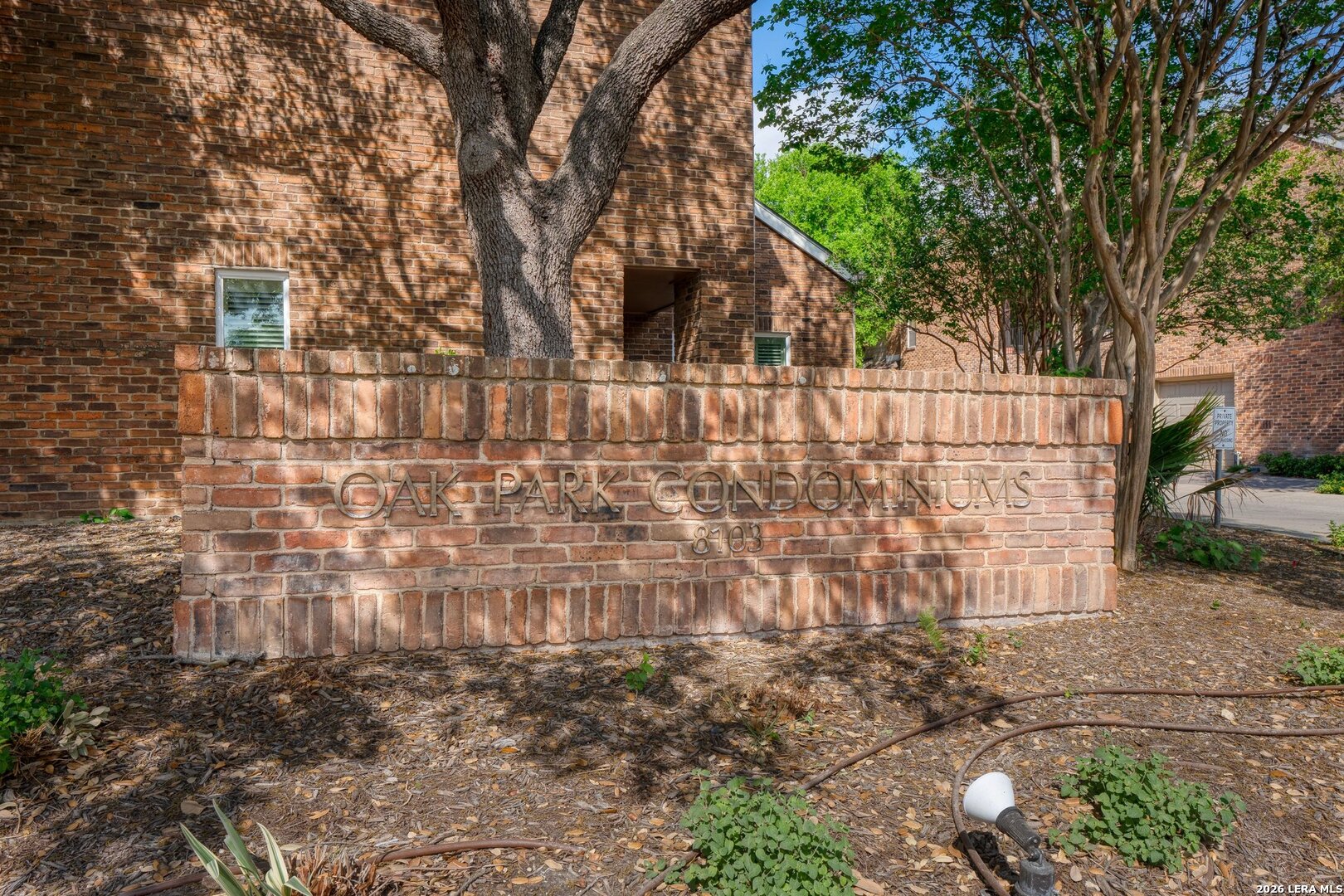 8103 N New Braunfels San Antonio TX 78209