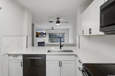 10254 Dover Ridge San Antonio TX 78250