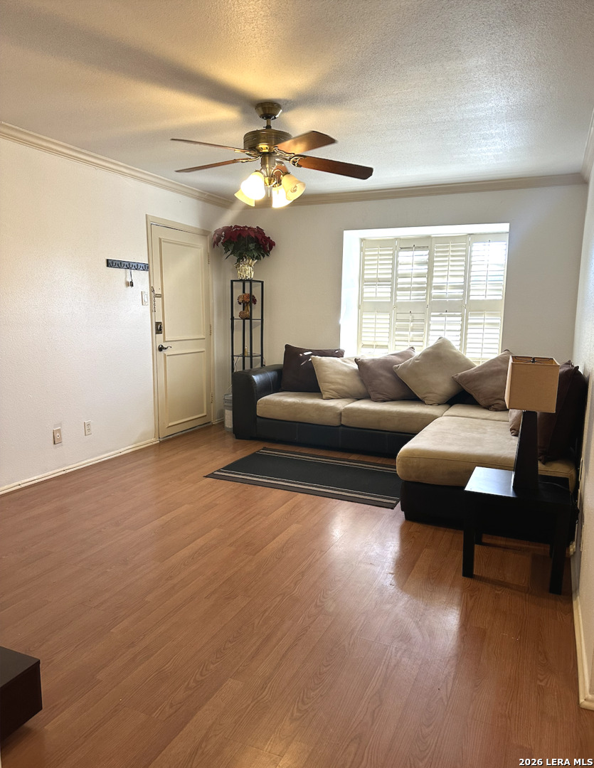 7834 Broadway San Antonio TX 78209