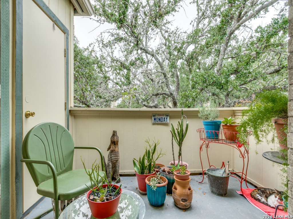 11843 Braesview San Antonio TX 78213