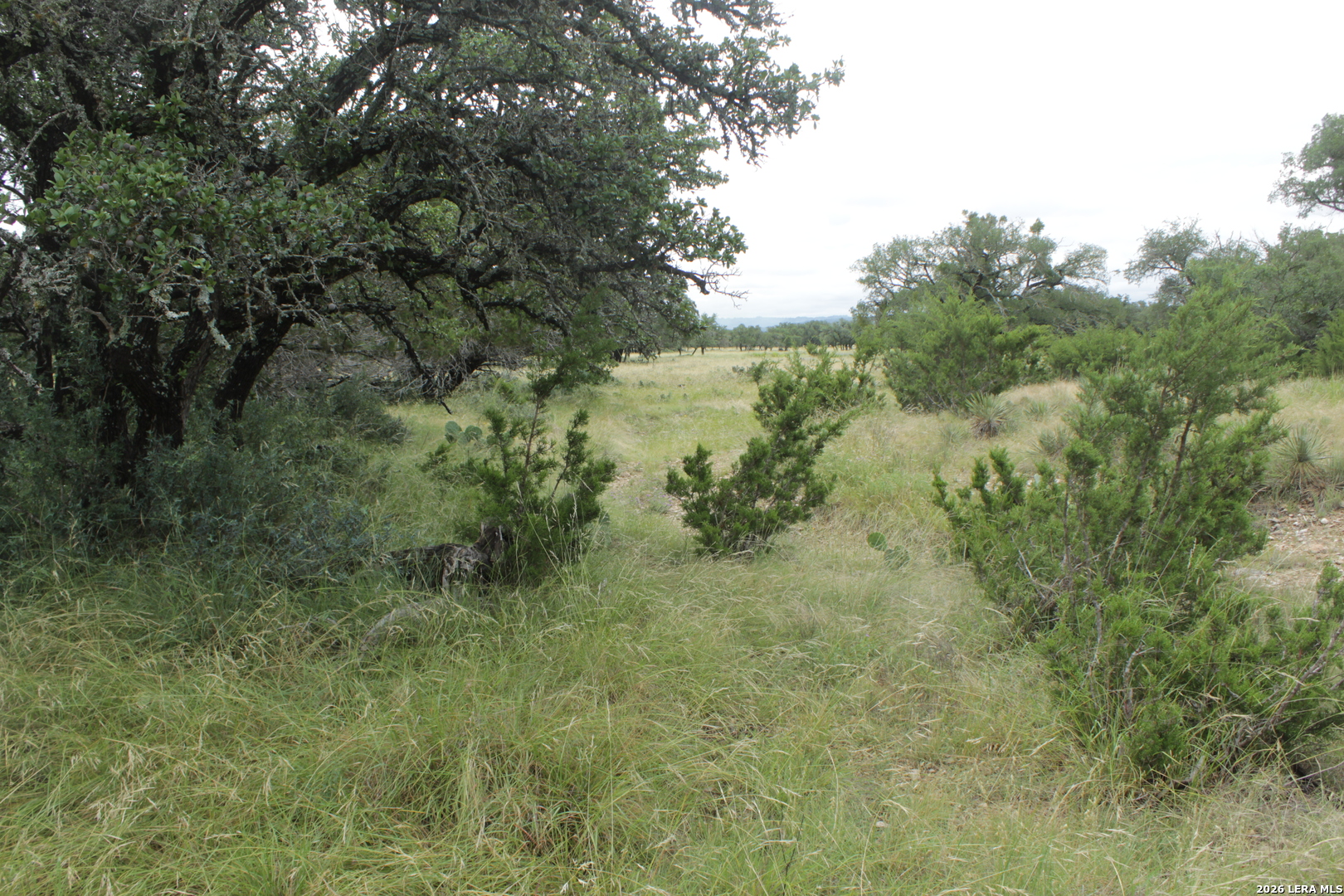 12700 S Highway 83 Junction TX 76849