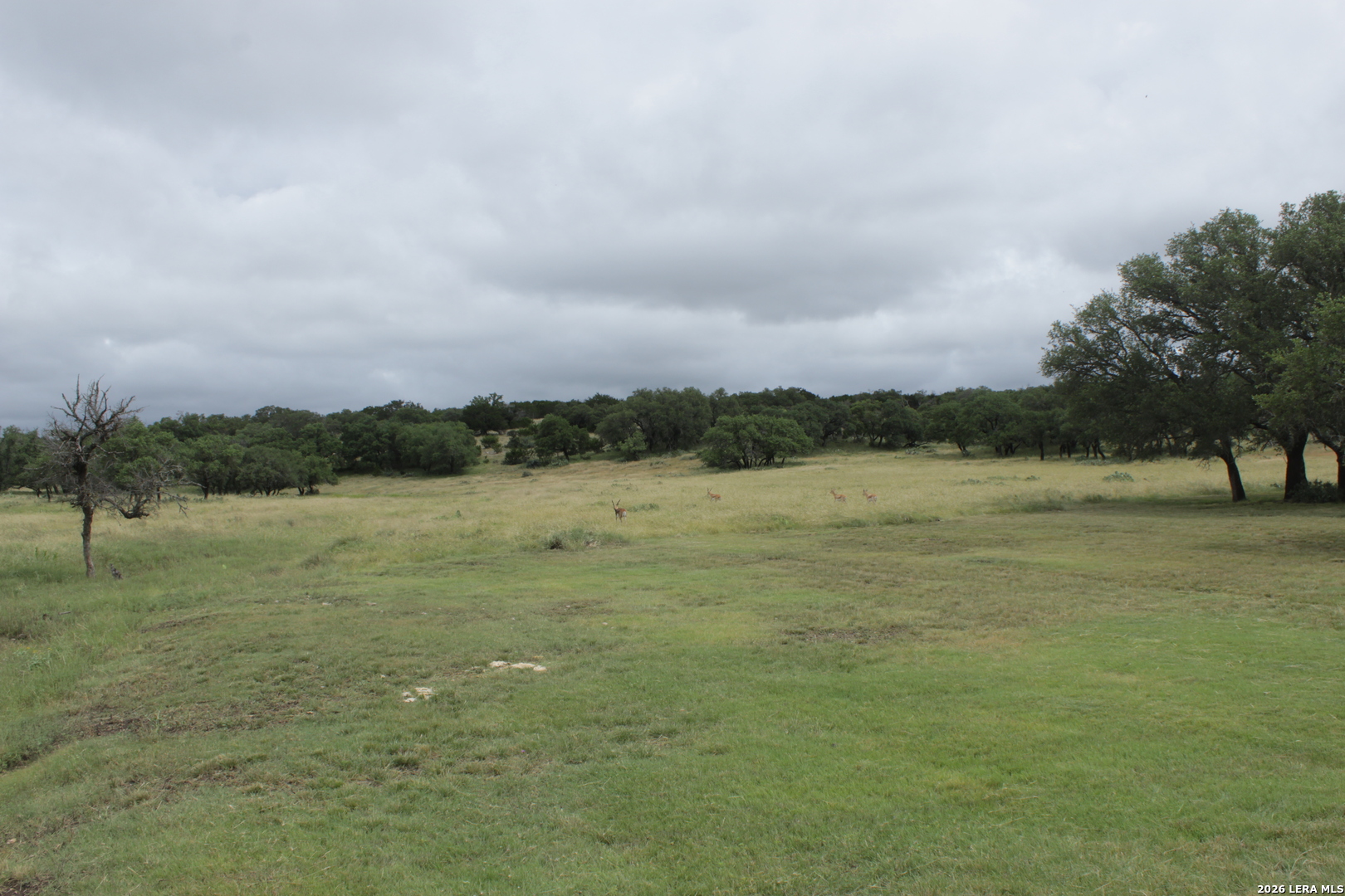 12700 S Highway 83 Junction TX 76849
