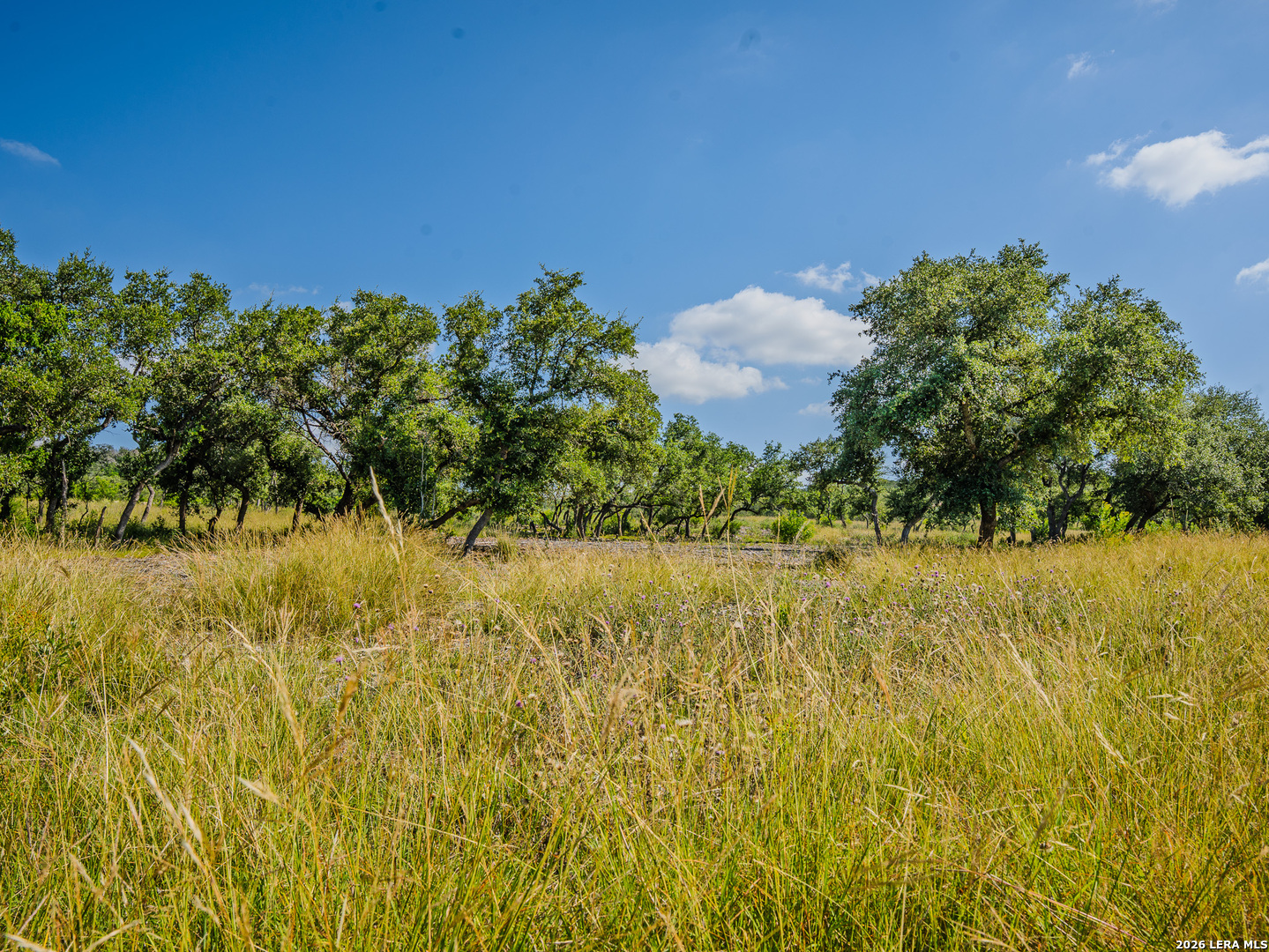 401 Pr 2410 Hondo TX 78861