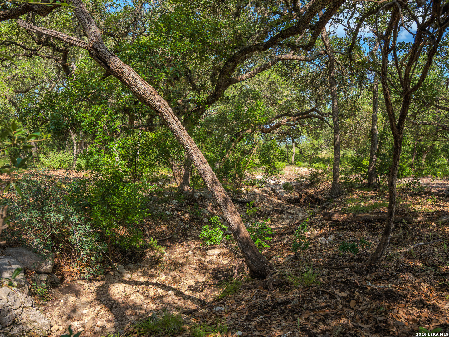 401 Pr 2410 Hondo TX 78861