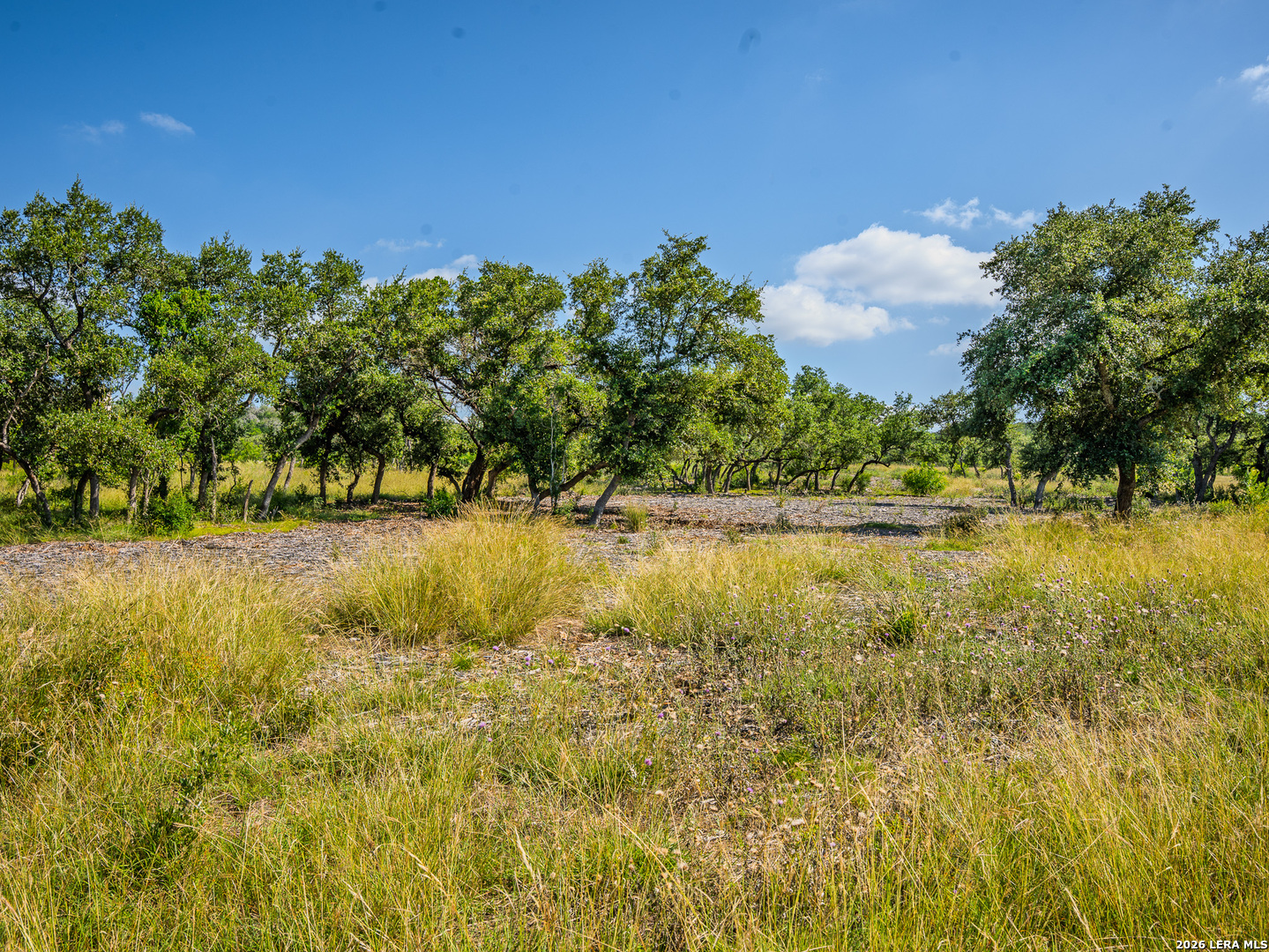401 Pr 2410 Hondo TX 78861