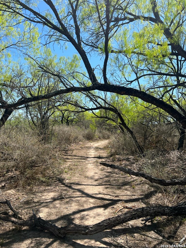 31 Fm 1664 Quemado TX 78877