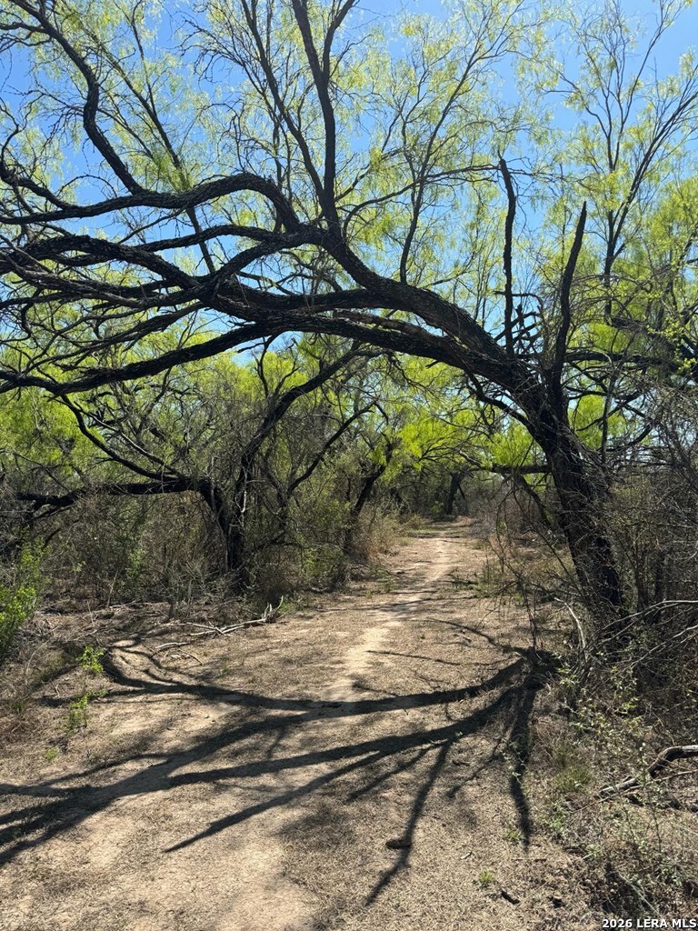 31 Fm 1664 Quemado TX 78877