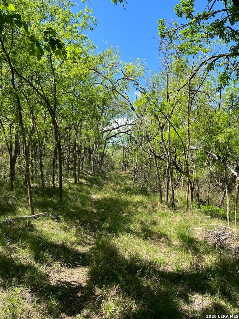 31 Fm 1664 Quemado TX 78877