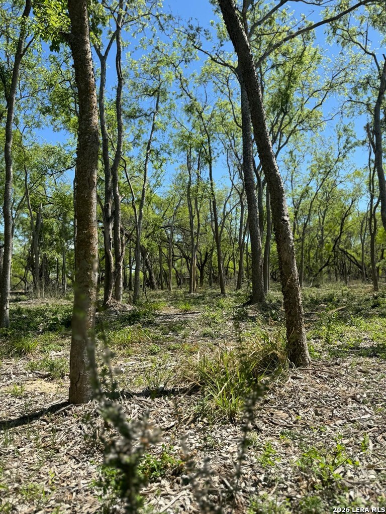 31 Fm 1664 Quemado TX 78877