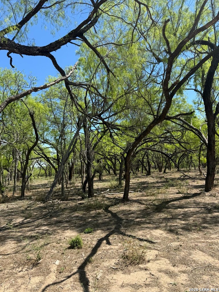 31 Fm 1664 Quemado TX 78877