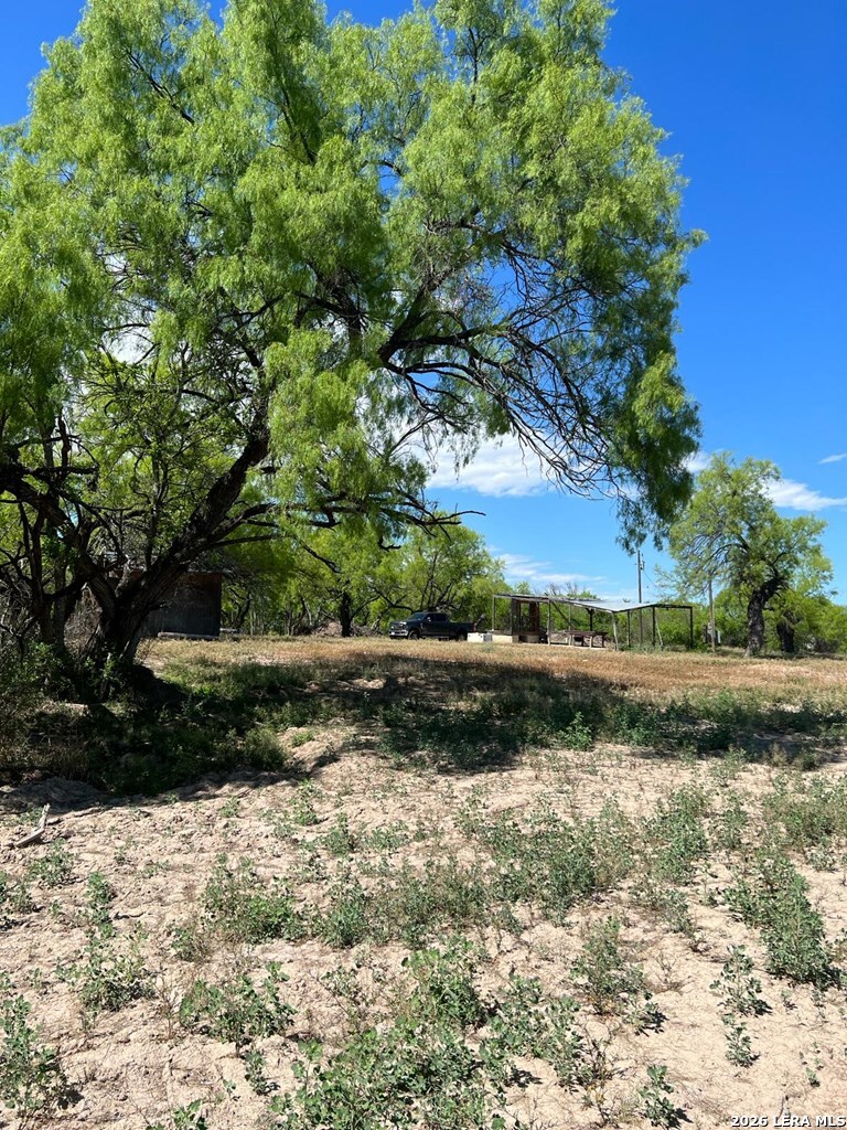 31 Fm 1664 Quemado TX 78877