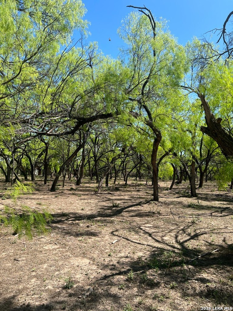 31 Fm 1664 Quemado TX 78877
