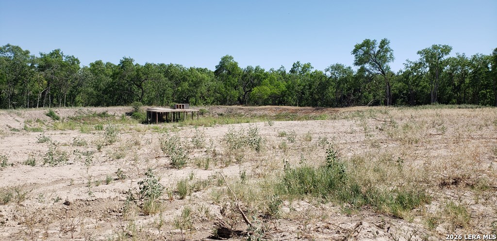 31 Fm 1664 Quemado TX 78877