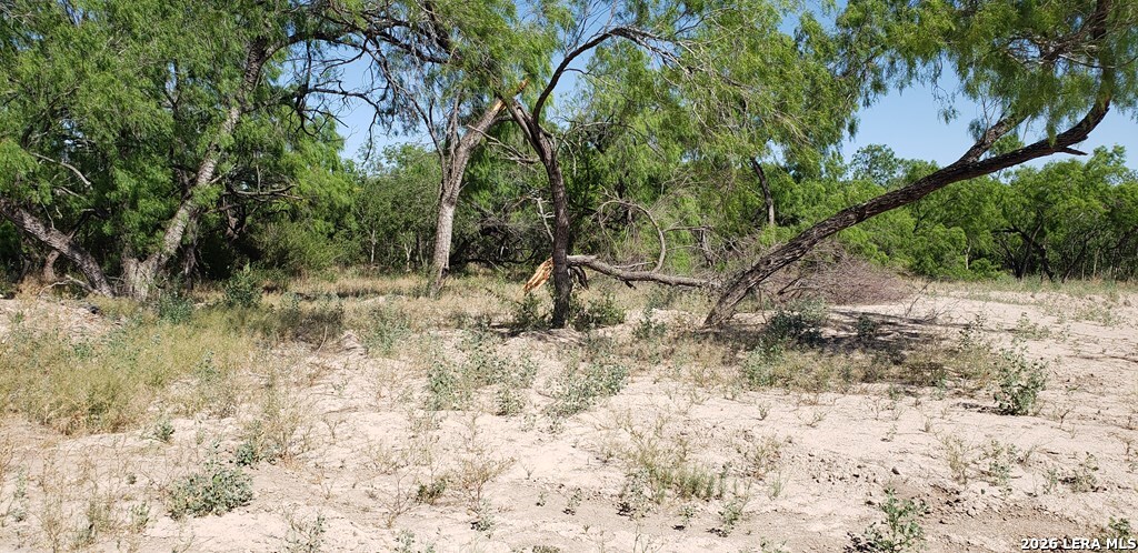 31 Fm 1664 Quemado TX 78877