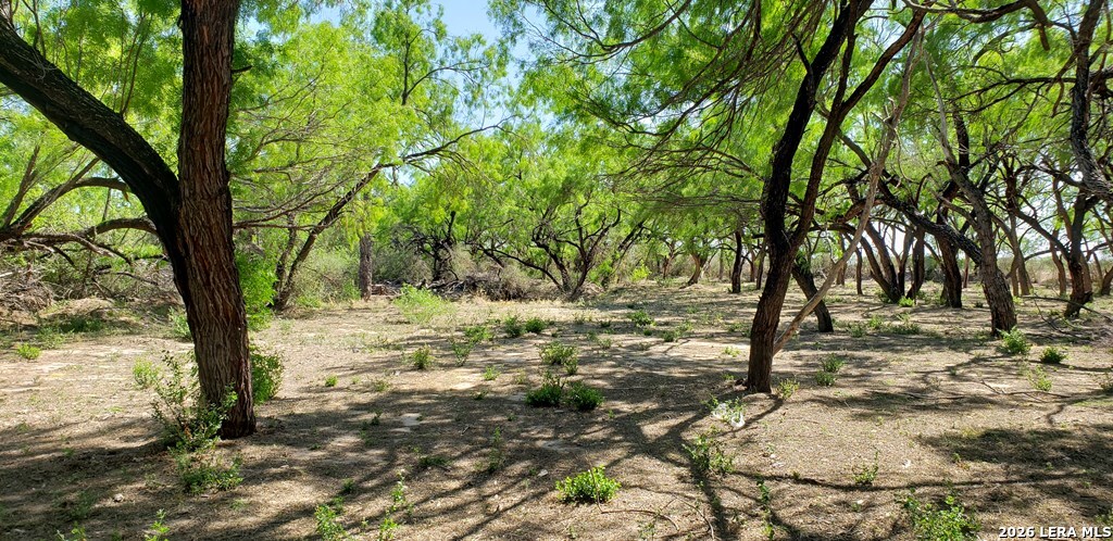 31 Fm 1664 Quemado TX 78877