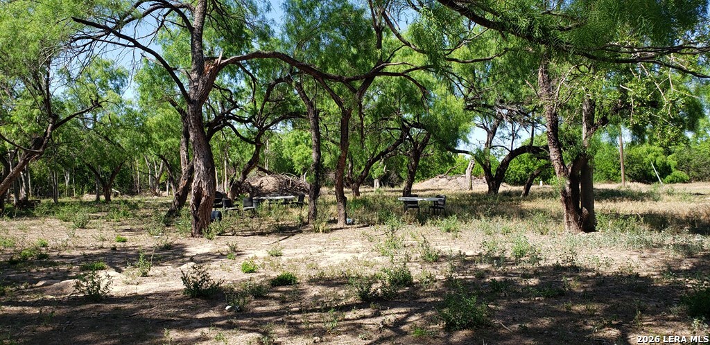 31 Fm 1664 Quemado TX 78877