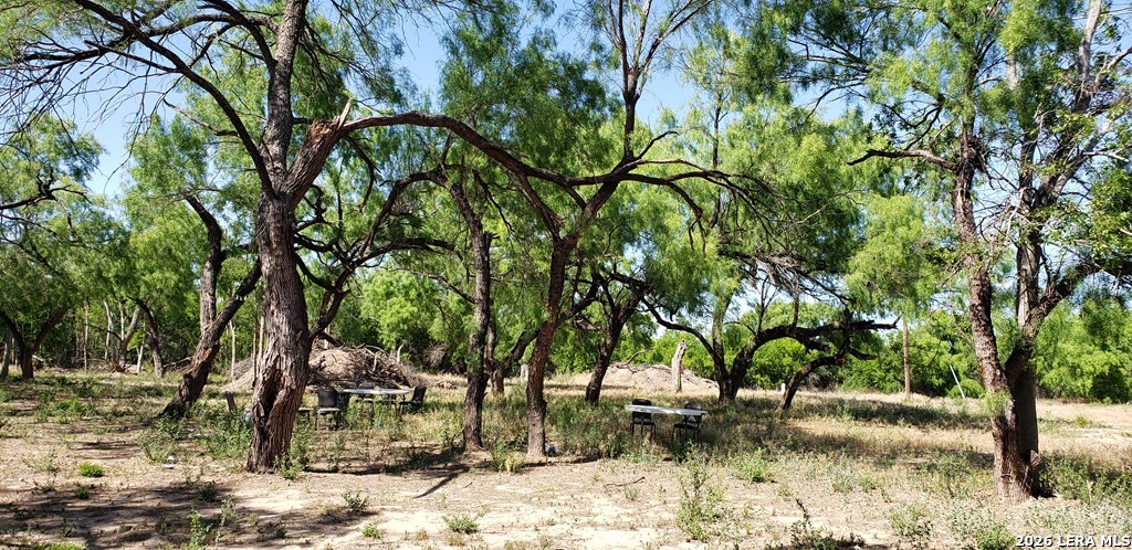 31 Fm 1664 Quemado TX 78877