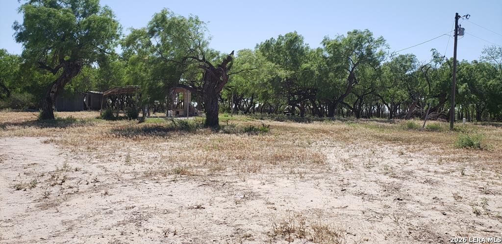 31 Fm 1664 Quemado TX 78877