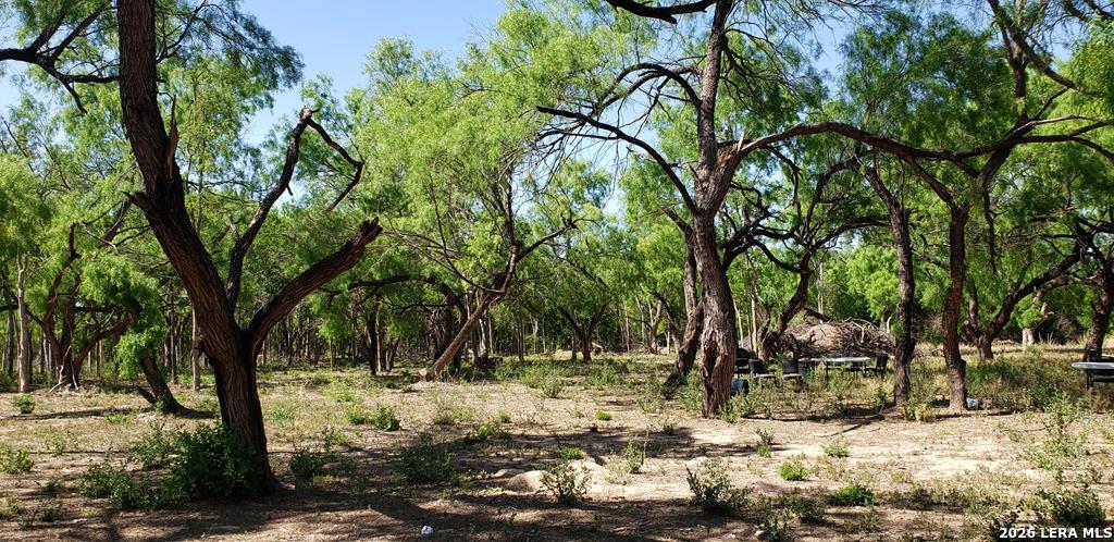 31 Fm 1664 Quemado TX 78877