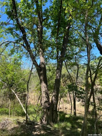 31 Fm 1664 Quemado TX 78877