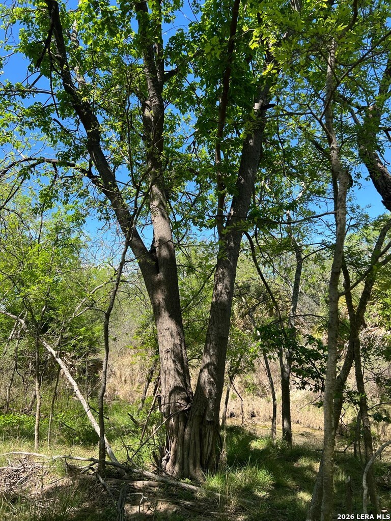 31 Fm 1664 Quemado TX 78877
