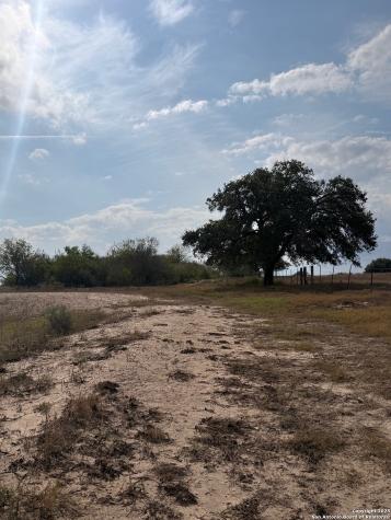 4689 County Road 302 Runge TX 78151