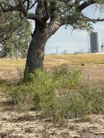 4689 County Road 302 Runge TX 78151