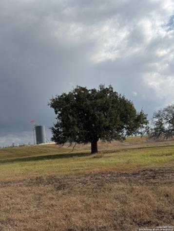 4689 County Road 302 Runge TX 78151