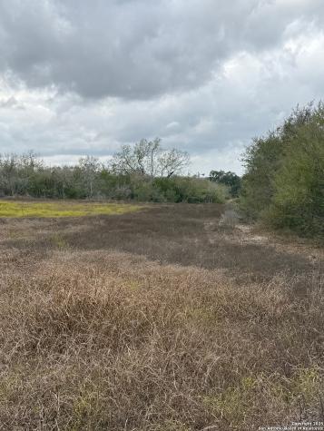 4689 County Road 302 Runge TX 78151