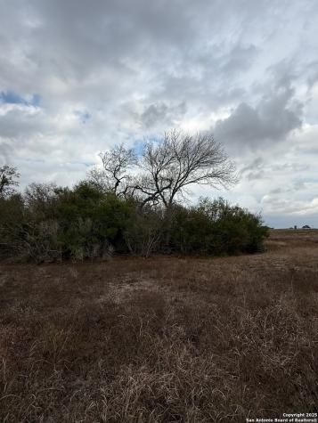 4689 County Road 302 Runge TX 78151