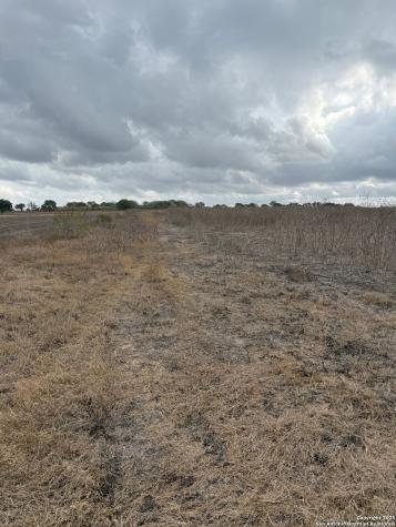 4689 County Road 302 Runge TX 78151