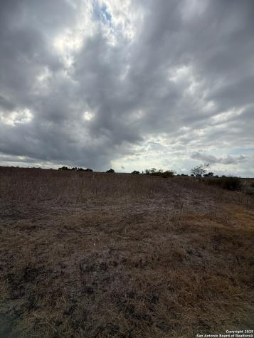 4689 County Road 302 Runge TX 78151