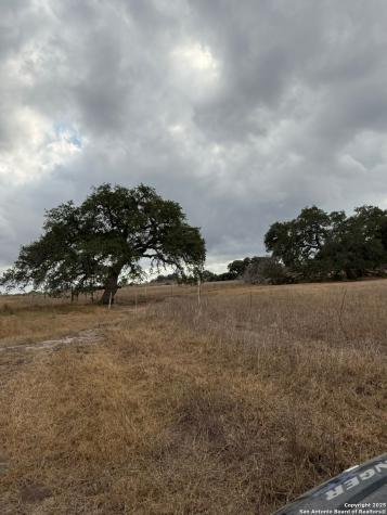 4689 County Road 302 Runge TX 78151