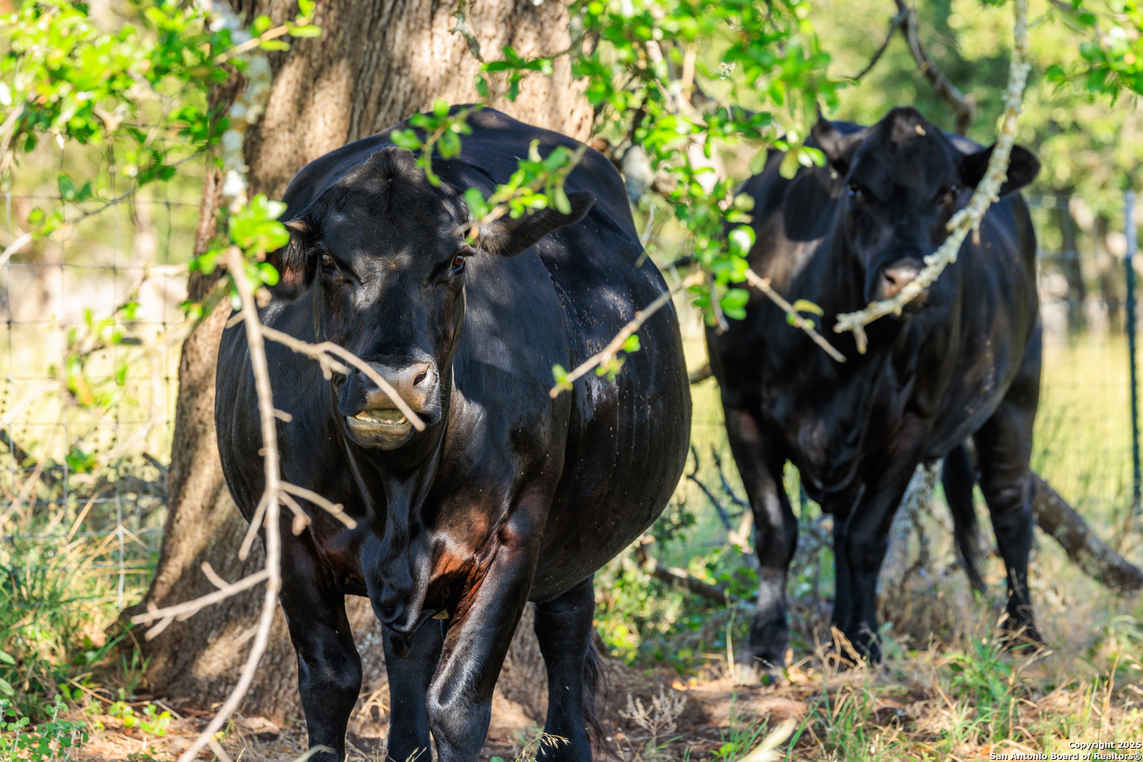 875 Gypsum Mine Fredericksburg TX 78624
