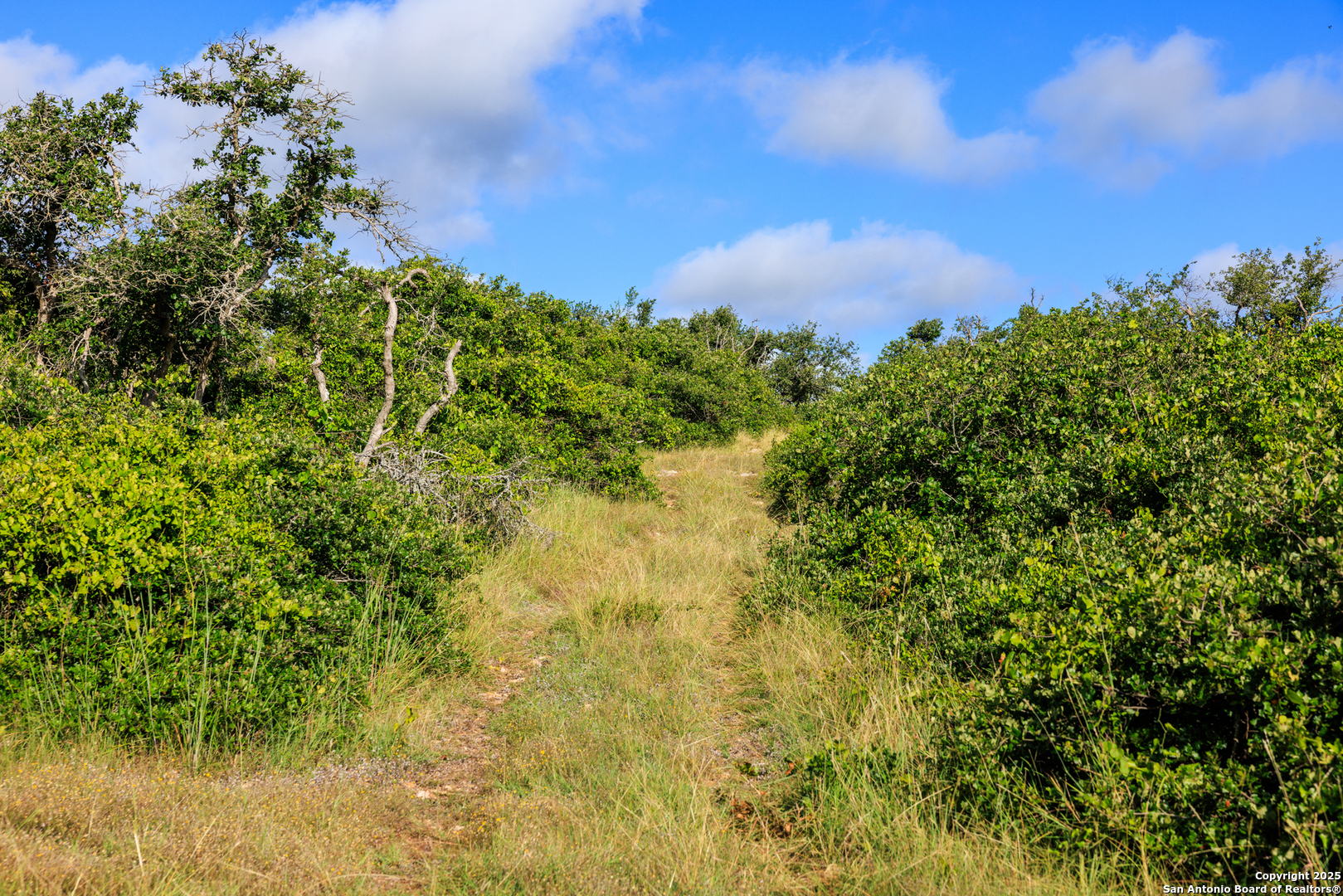 875 Gypsum Mine Fredericksburg TX 78624