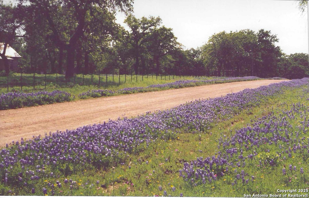 82 Bell Mountain Willow City TX 78675