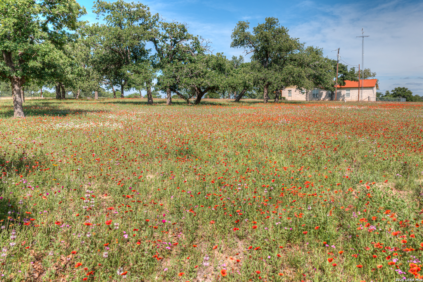 82 Bell Mountain Willow City TX 78675