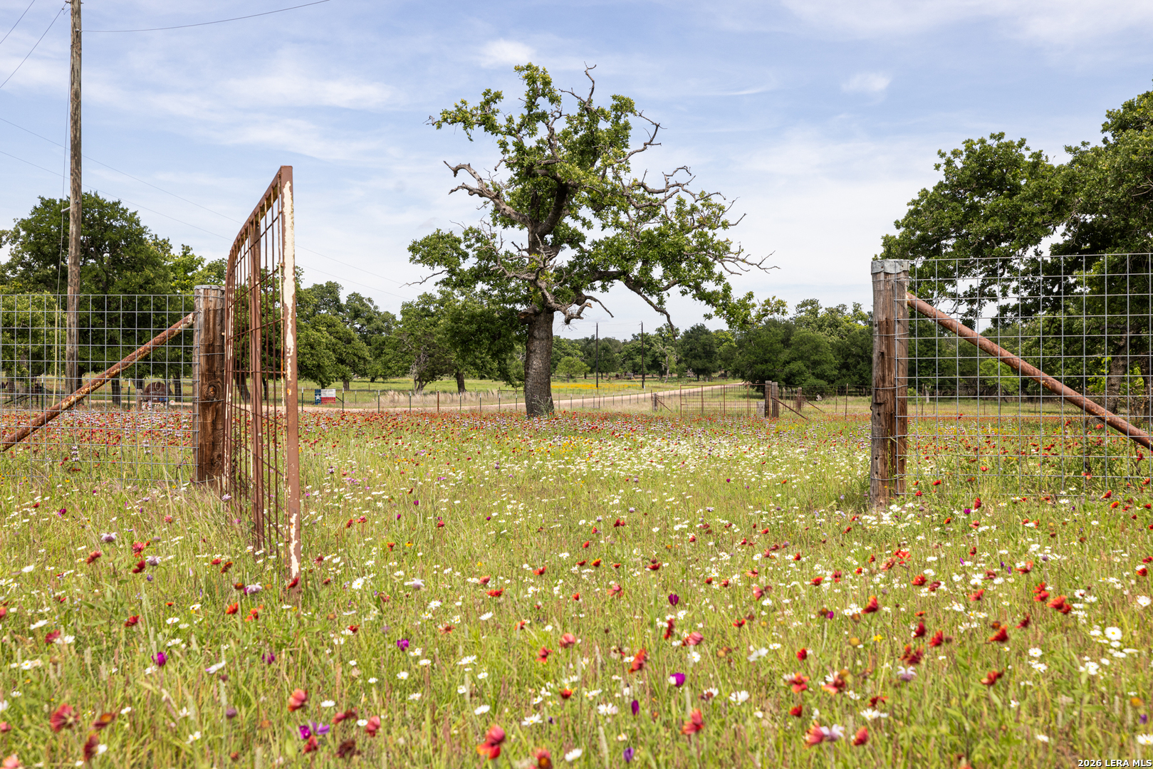 82 Bell Mountain Willow City TX 78675