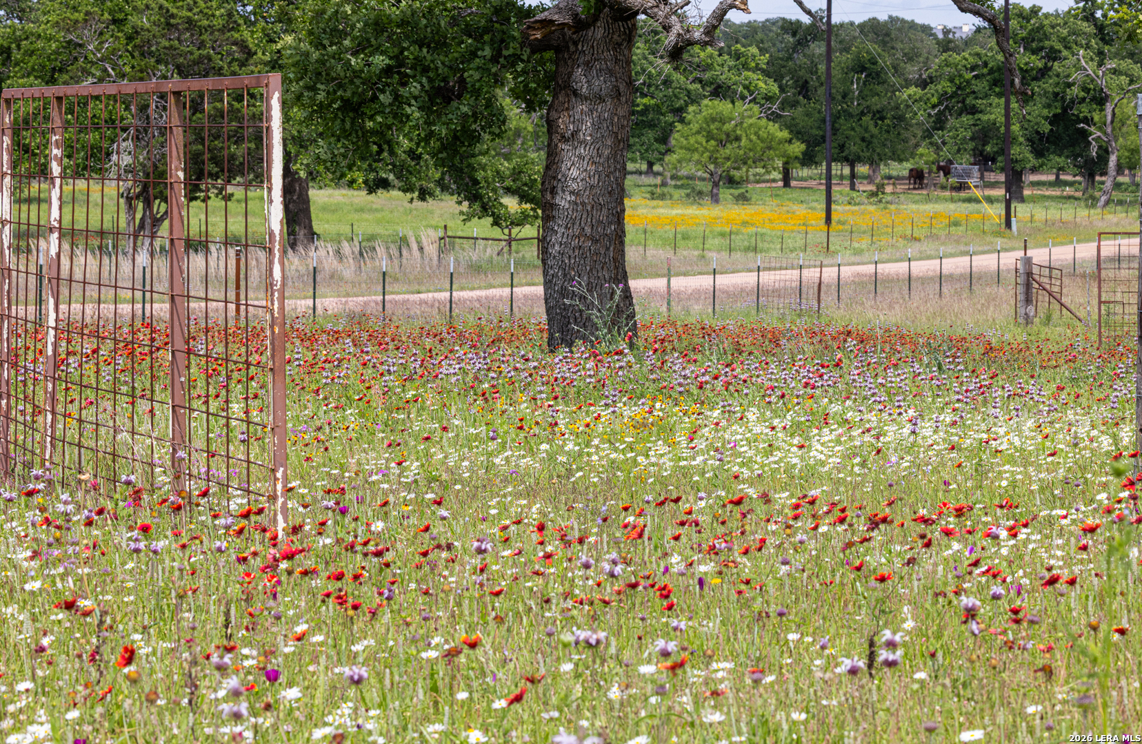 82 Bell Mountain Willow City TX 78675