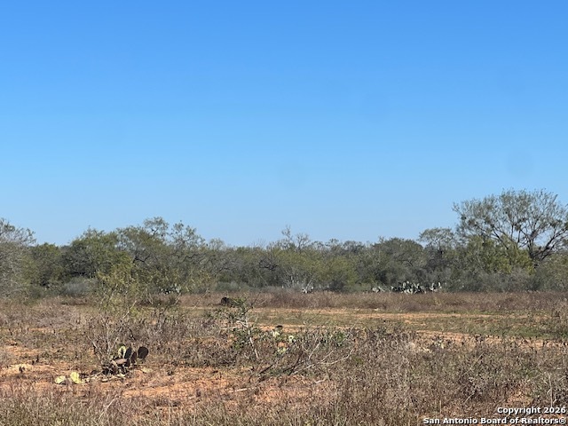 494 Mann Poteet TX 78065