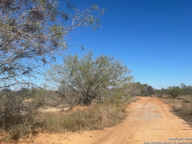 494 Mann Poteet TX 78065