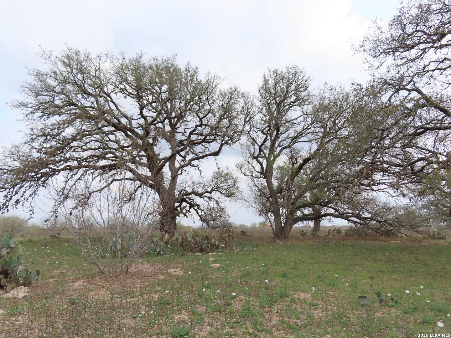 678 Tank Hollow Road Poteet TX 78065