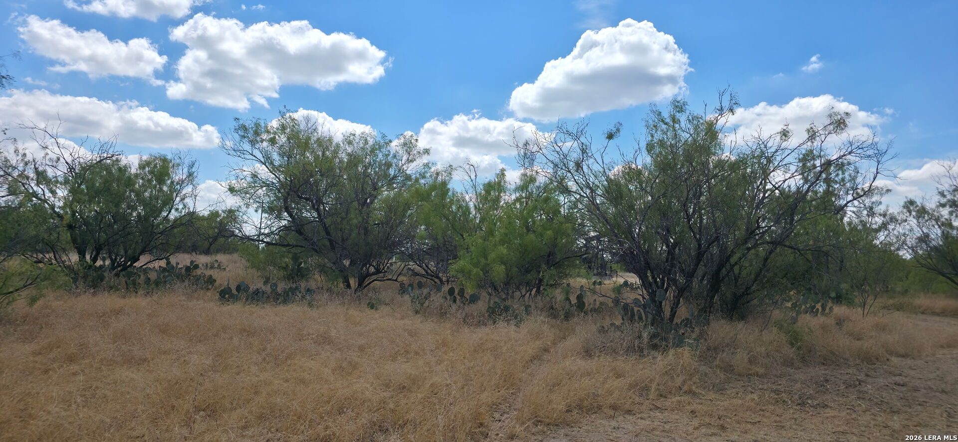 0 Escondido Road Carrizo Springs TX 78834