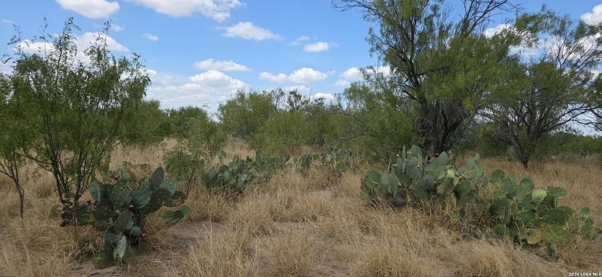 0 Escondido Road Carrizo Springs TX 78834